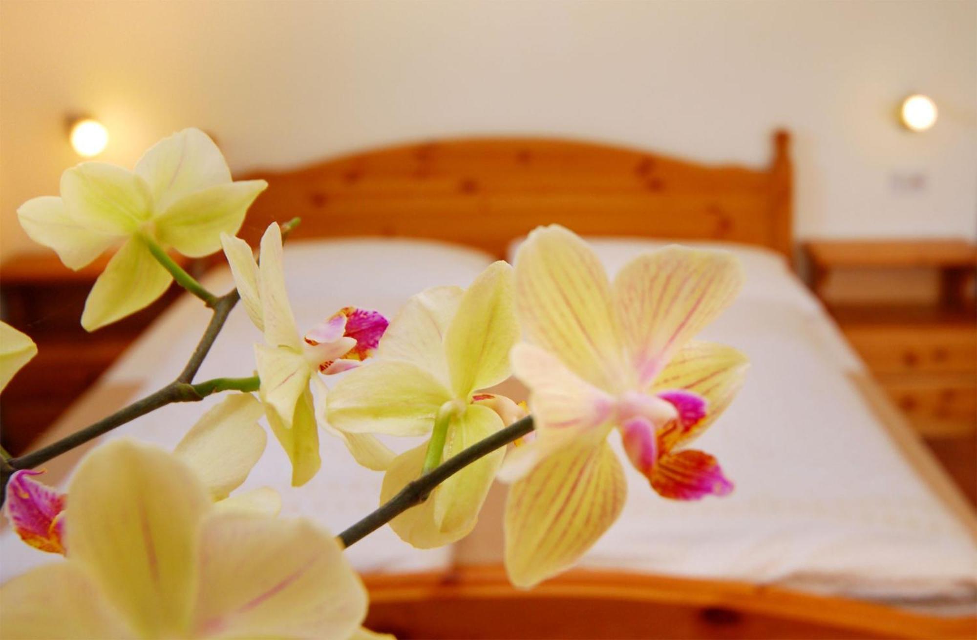 Bed and Breakfast Garni Karlegger Siusi Camera foto