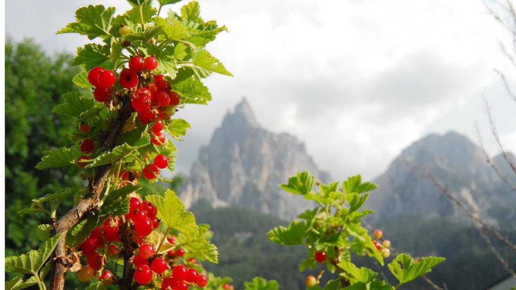 Bed and Breakfast Garni Karlegger Siusi Esterno foto